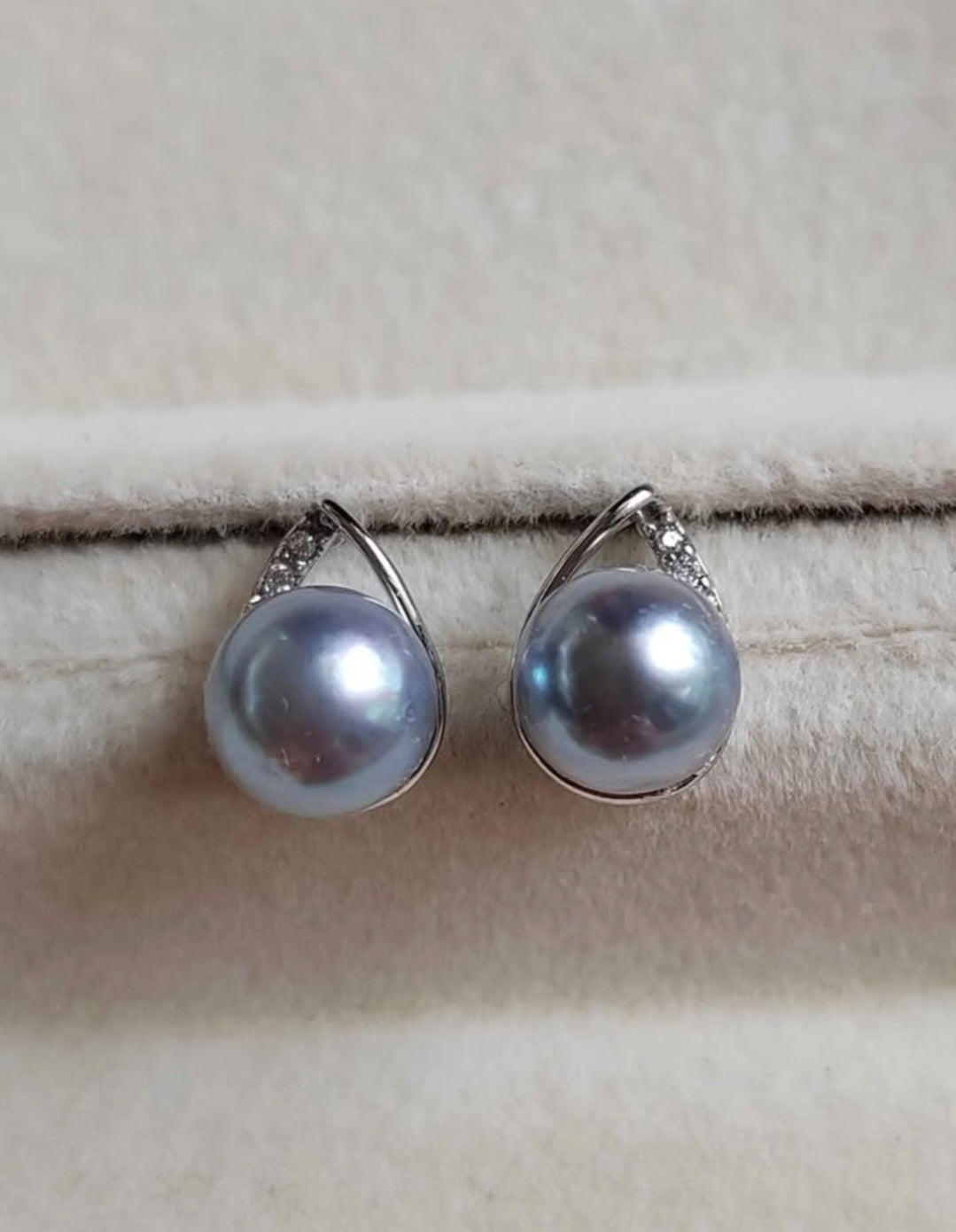 6.1mm Genuine Japanese akoya pearls classic earrings silver