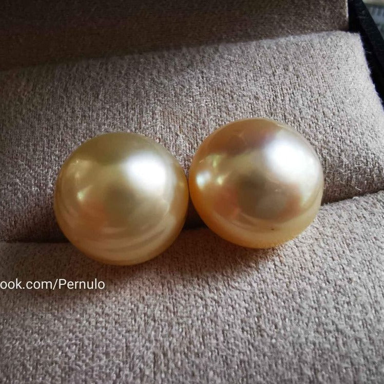 14k gold essential earrings studs genuine golden south sea pearl 12.4mm