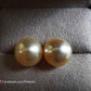 14k gold essential earrings studs genuine golden south sea pearl 12.4mm