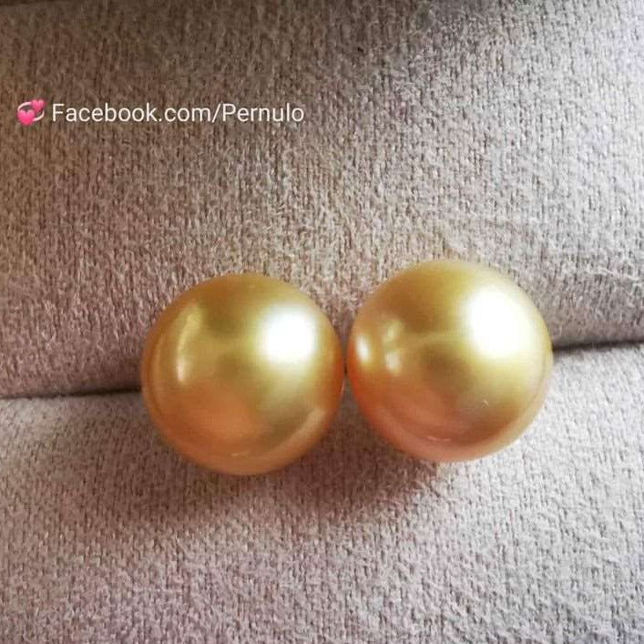 14k gold essential earrings studs genuine golden south sea pearl 9.9mm