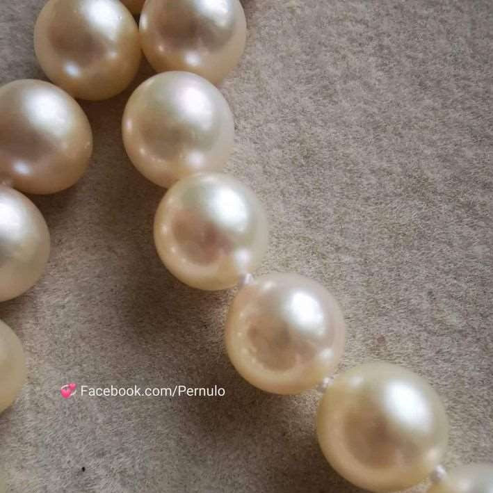 6.9-7.8mm Genuine Japanese akoya pearls classic necklace