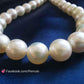 6.9-7.8mm Genuine Japanese akoya pearls classic necklace