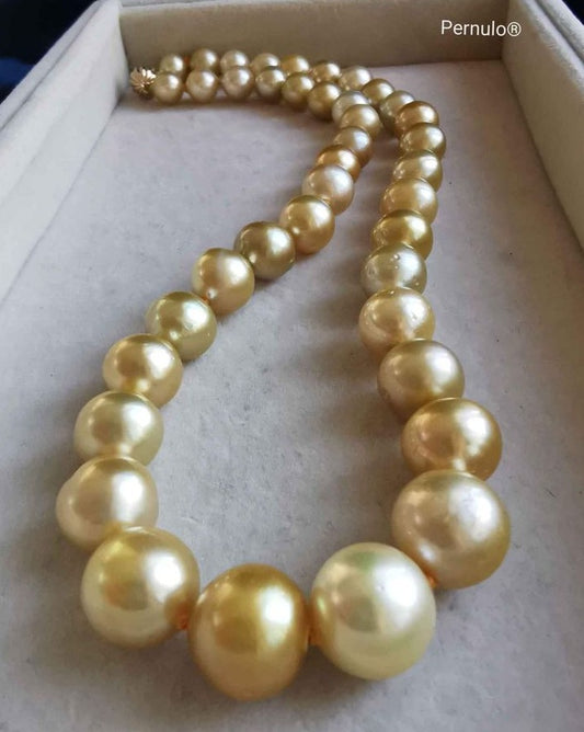 Classic princess necklace genuine golden south sea pearls 8.4-12.6mm