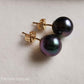 7.9mm Genuine Tahitian south sea pearl AAA 14k gold classic earrings