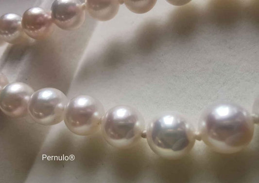 Classic uniform necklace genuine Japanese akoya pearls 6-6.6mm