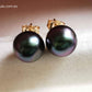 7.9mm Genuine Tahitian south sea pearl AAA 14k gold classic earrings