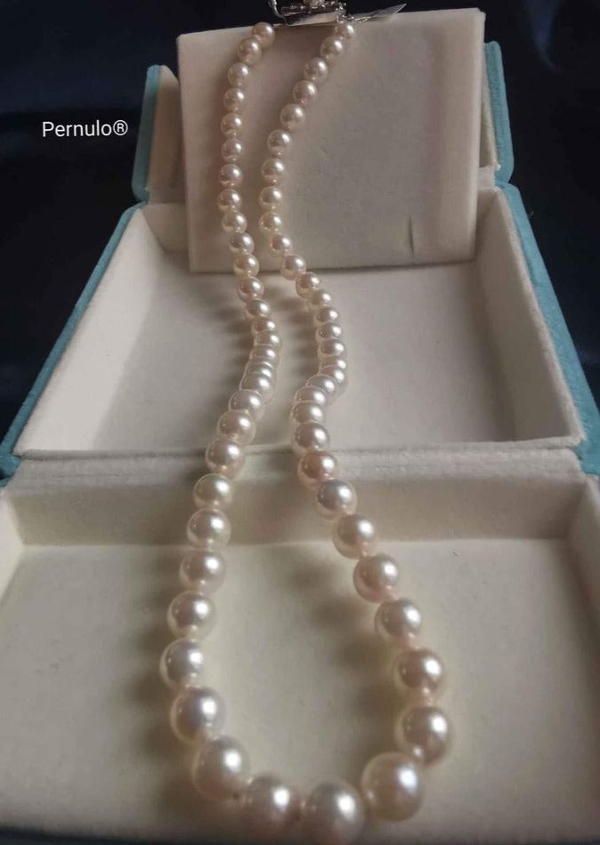 Classic uniform necklace genuine Japanese akoya pearls 6-6.6mm