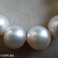 9-11.8mm Genuine South sea white pearls classic necklace 14k gold