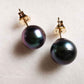 7.9mm Genuine Tahitian south sea pearl AAA 14k gold classic earrings