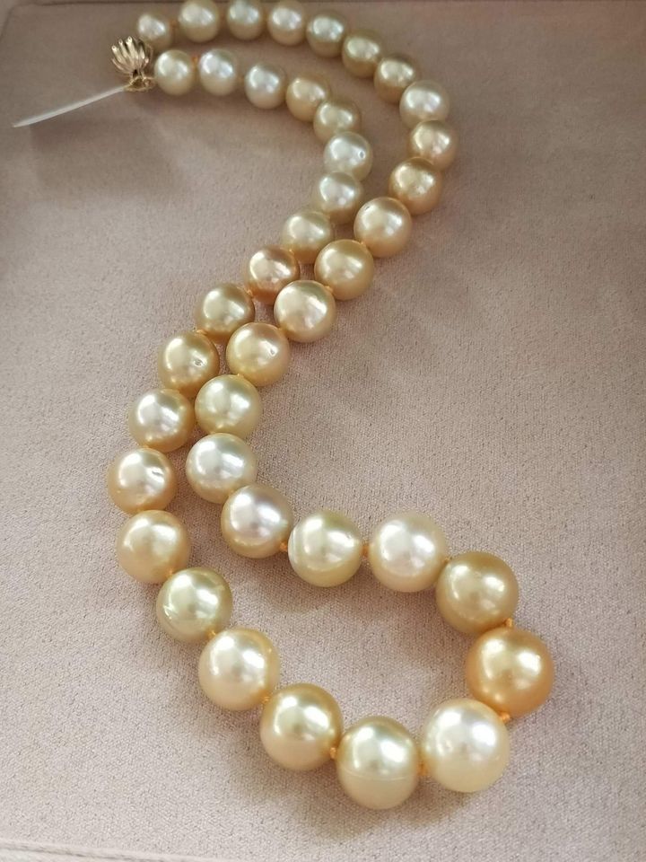 8.4-11.8mm Genuine Golden South Sea Pearls classic necklace
